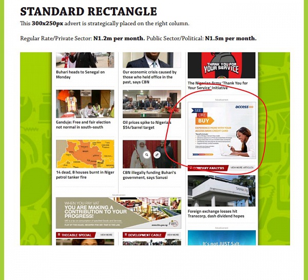 Advertising with TheCable Standard Rectangle (Public Sector/Political)